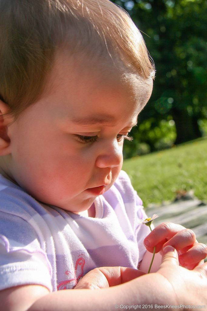 young girl playing with a daisy