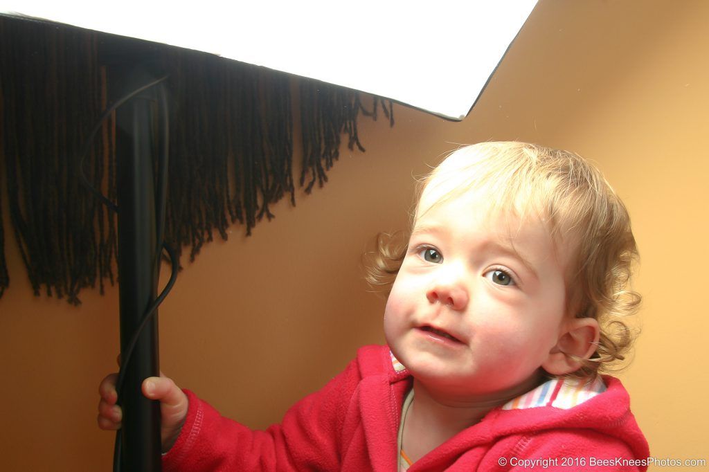 toddler helping the photographer